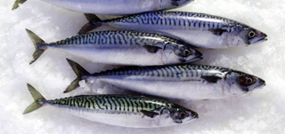 Illustration for article titled Healthy fishes that you must eat